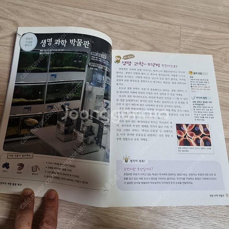 체험활동백과 5권--6