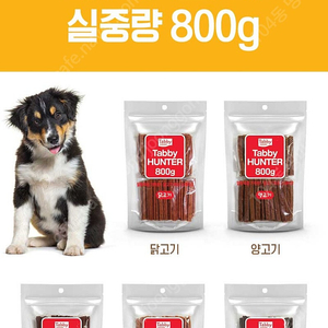 테비 헌터 대용량 강아지간식 800그람짜리