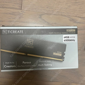 T create ddr5 ram 6000mhz 64gb 전문가용