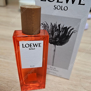 로에베 솔로 엘라 50ml 국문택