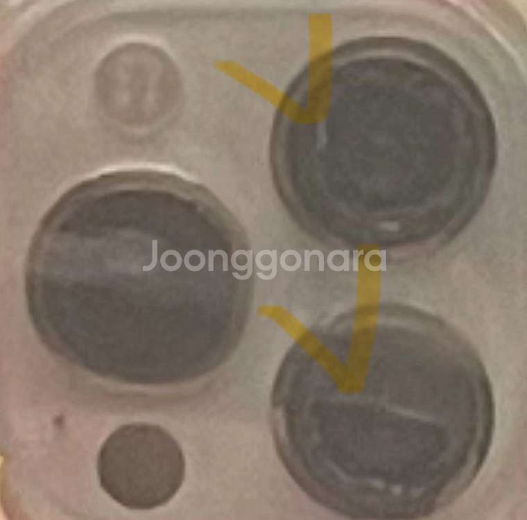 아이폰13 프로맥스 + 애플워치6 다해서 62만원--1