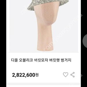 디올오블리크 버킷모자