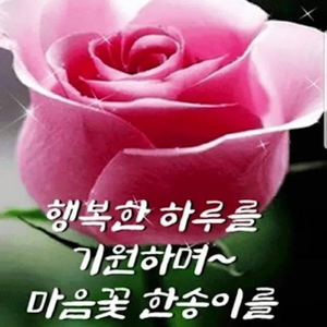 투애니원 막콘 지정석 2연석 구해요