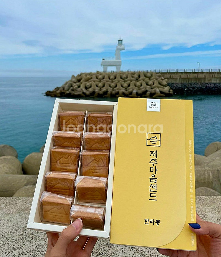 제주 마음샌드 (땅콩1+한라봉 1+배송비포함 +당일구매...--0
