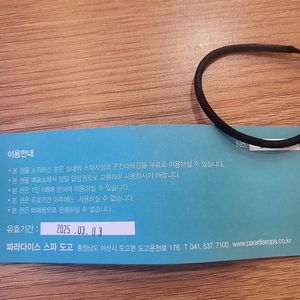 파라다이스 도고