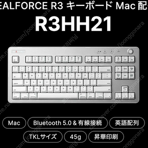 리얼포스 r3 for mac BT 텐키리스 45g 균등