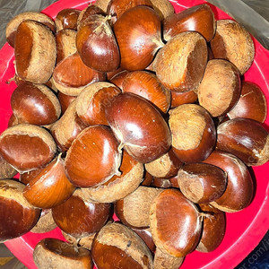 햇밤(알밤) 팝니다