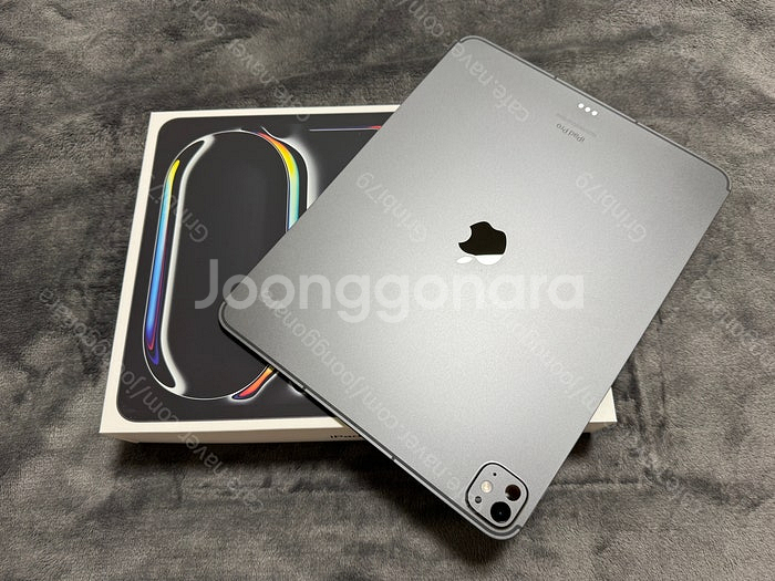 아이패드 프로 M4 13인치 256GB 셀룰러(스페이스...--0