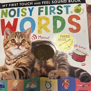 영어유아책)Noisy First WordsMy First Touch and Feel Sound Book(원서)