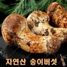 백두산 자연송이버섯