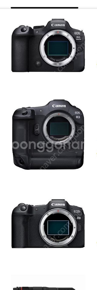 캐논 eos r6 mark2 구해요(천안)--0