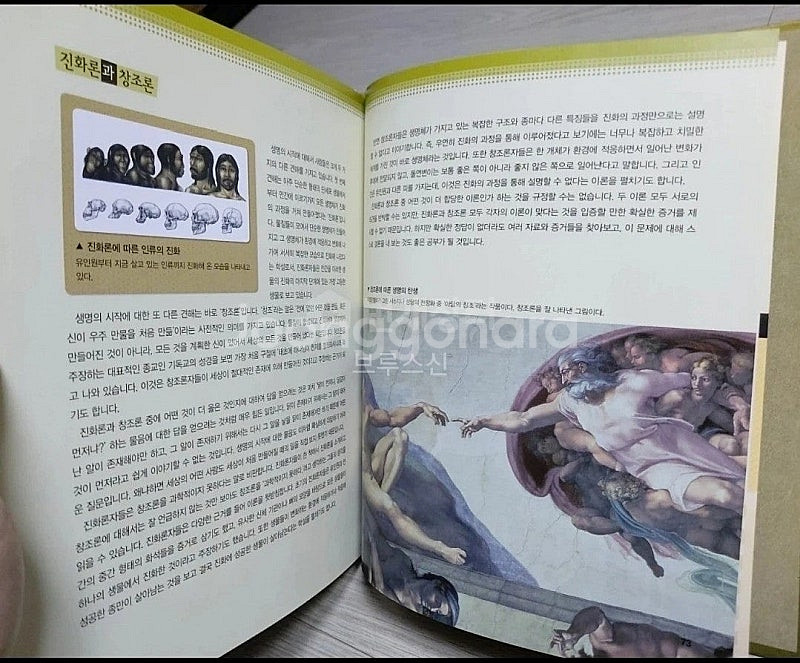 눈으로보는세계인물/본책40권+별책5권--1