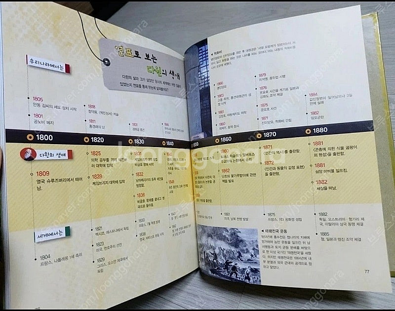 눈으로보는세계인물/본책40권+별책5권--3