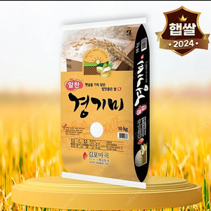 선착순)24년햅쌀출시 단일품종 김포 알찬 경기미 쌀10kg 무료배송27900원 10kgx2포 무료배송50900원 최근도정