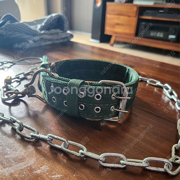 대형견 개목끈 리드줄 세트--0