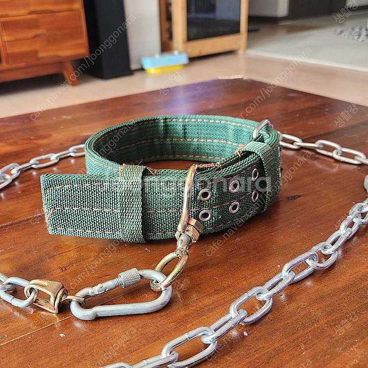 대형견 개목끈 리드줄 세트--1