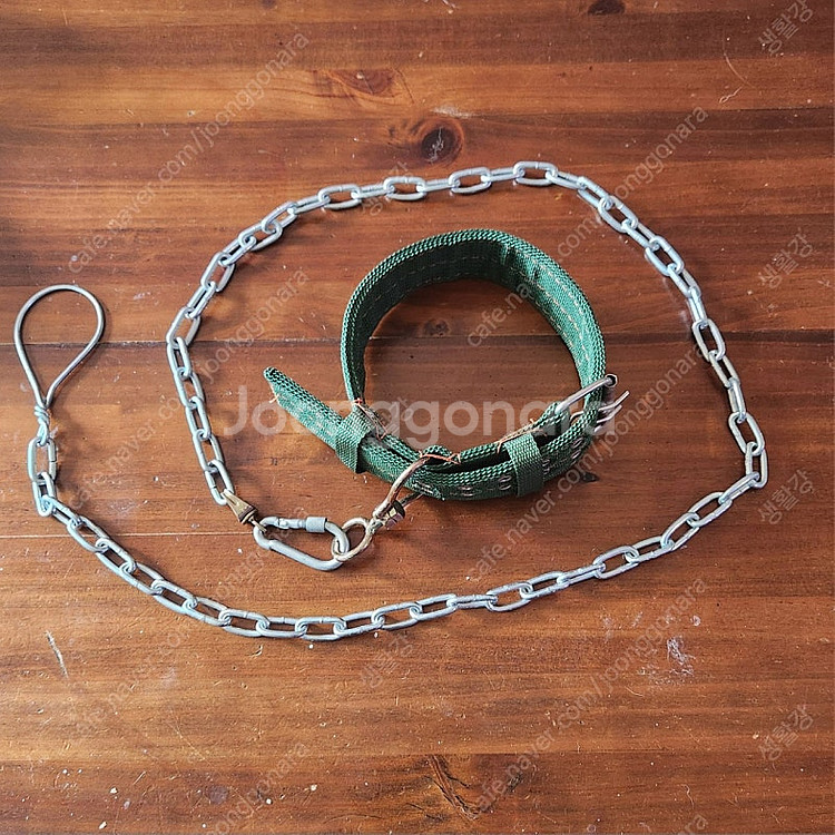 대형견 개목끈 리드줄 세트--2