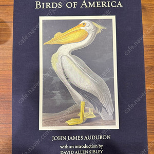 the birds of america 양장본 판매합니다. 인테리어 소품으로도 좋습니다.