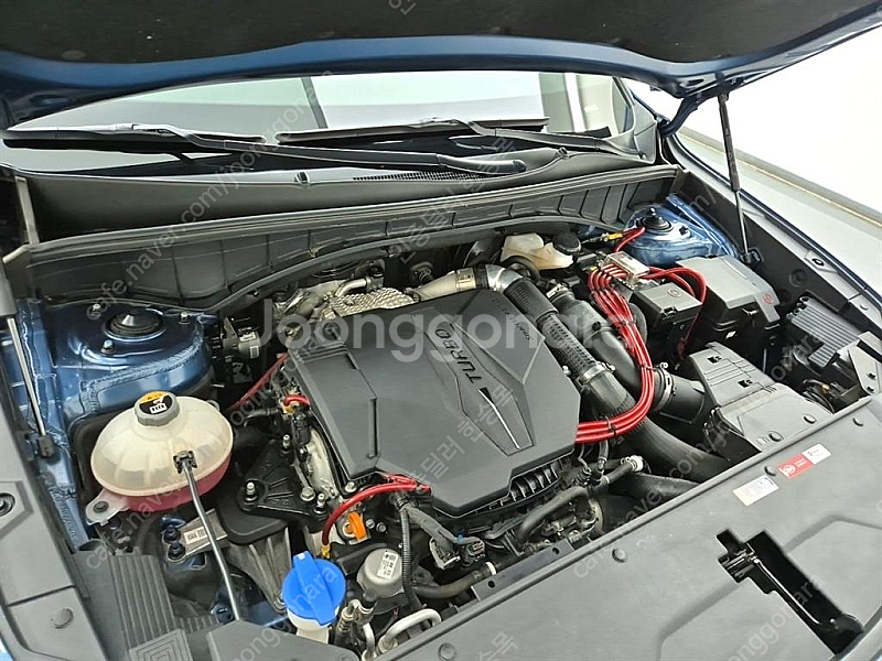 기아쏘렌토 4세대(MQ4) 가솔린 2.5T 2WD 그래...--4