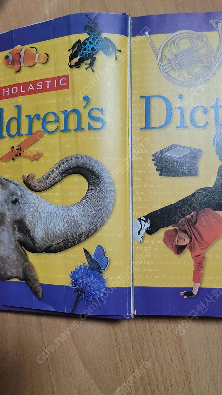 스콜라스틱 어린이 영어 사전 children's dictionary 이미지