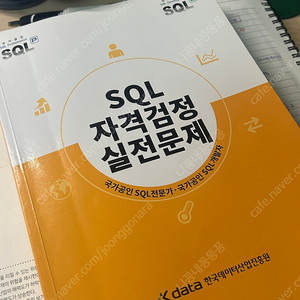 Sqld 노랭이