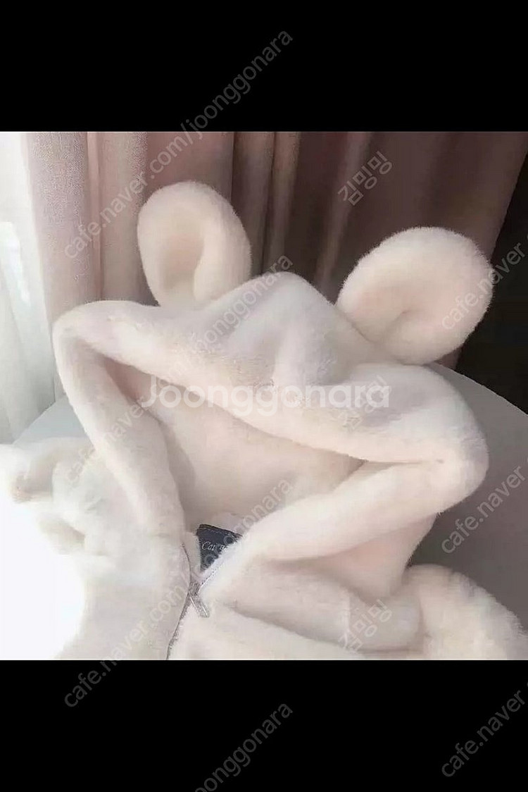 베이비테디 보들보들 퍼점퍼(화이트)--7