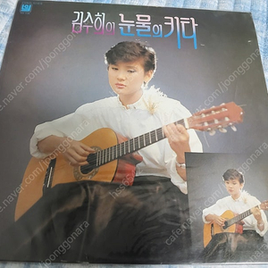 김수희눈물의키타