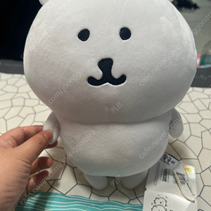 농담곰 25cm 인형 판매합니다!