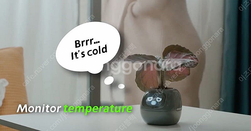 월e화분 안키벡터 스마트 파종기 ai로봇 화분 움직여요...--9