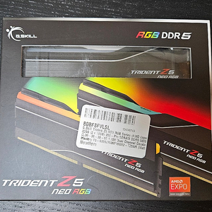 지스킬 트라이던트 DDR5-6000 CL30