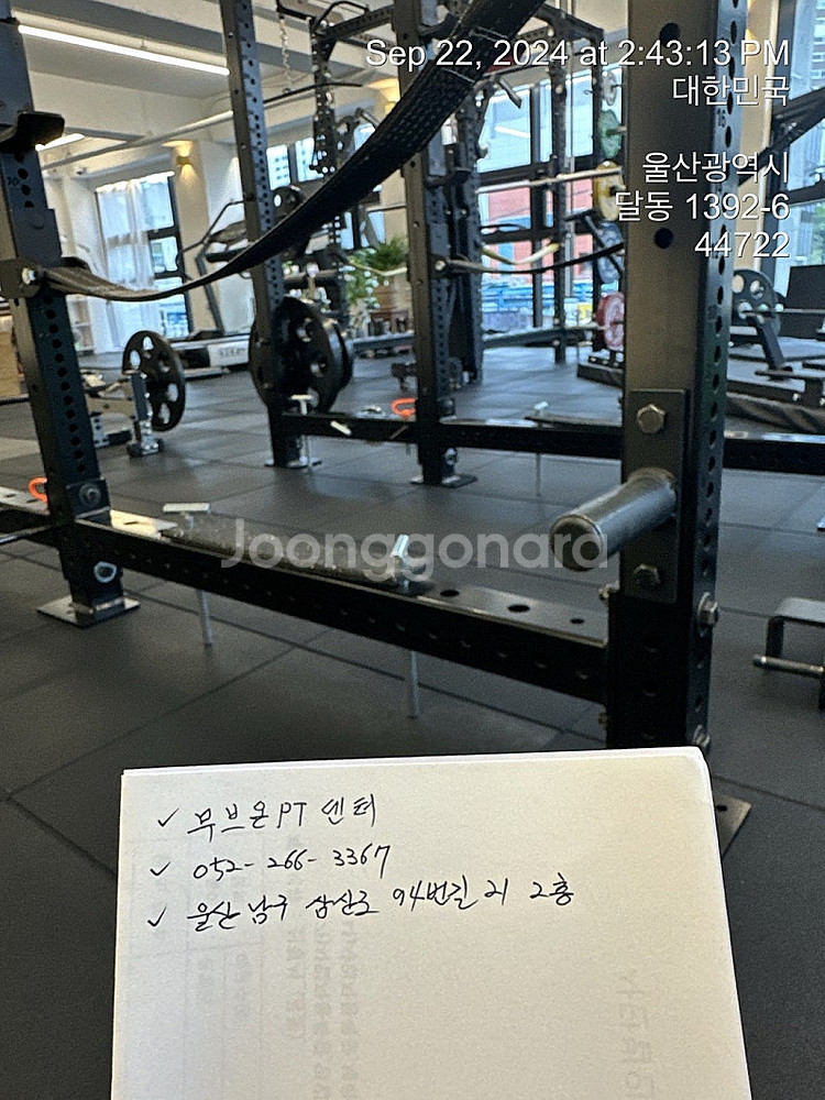 로그 파워랙 ROGUE RML _ 690C 모노리프트 랜드마인 원판거치대 등등 일괄 판매 - 울산 ---1