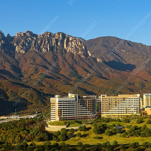 9월10월개천절 쏠비치 진도 삼척 소노벨변산/천안/단양~제주/거제