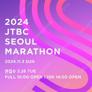 JTBC 2024 풀마라톤 양도 (제마)