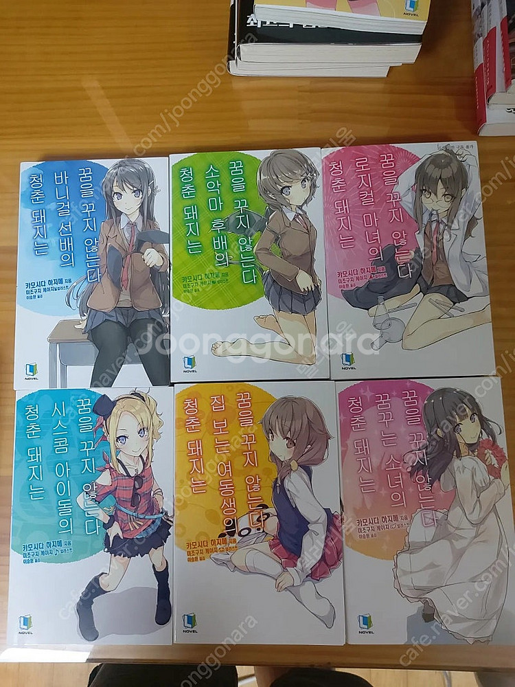 청춘돼지--0