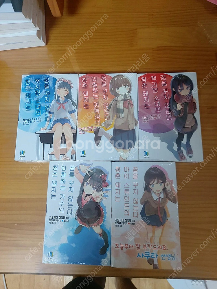 청춘돼지--1