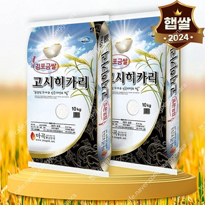 선착순)24년햅쌀출시 상등급 고시히까리쌀10kgx2포 무료배송57900원 최근도정