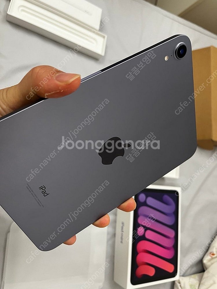 애플 아이패드 미니6 wifi 256 퍼플--2
