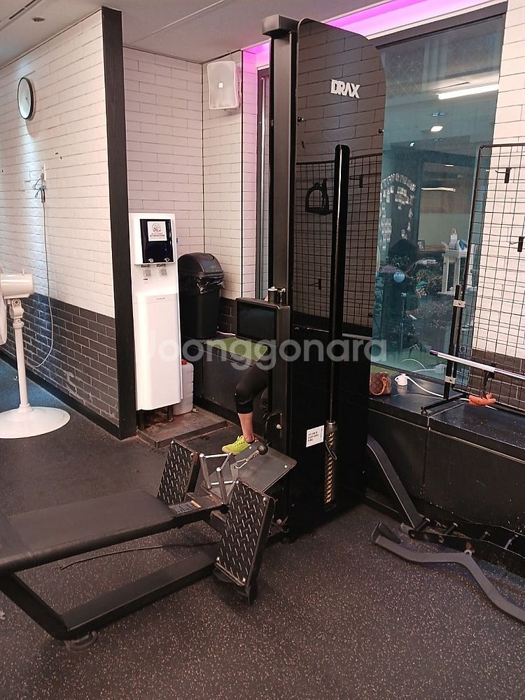 디랙스 파워랙/멀티체스트웨이트/암컬/롱풀/인너터치/티바...--0