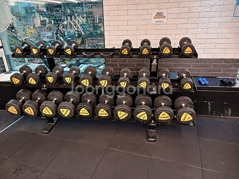 디랙스 파워랙/멀티체스트웨이트/암컬/롱풀/인너터치/티바...--6