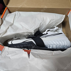 로말레오 역도화 250