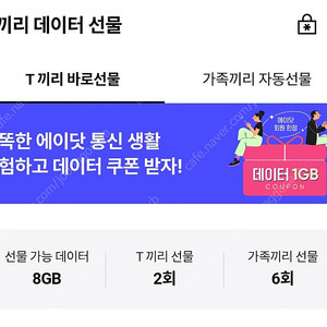T 데이타 2기가 일괄