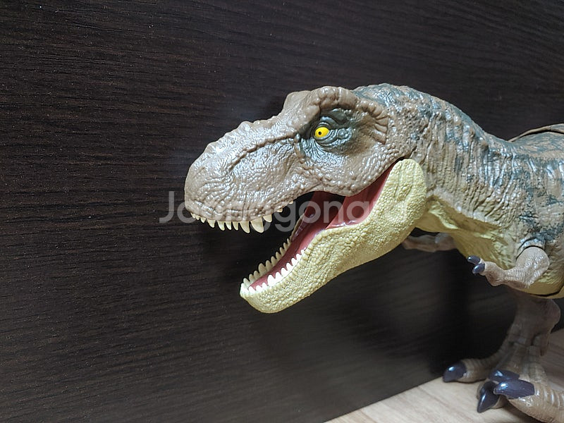 [완구] 티라노 사우루수 렉스 외 공룡--1