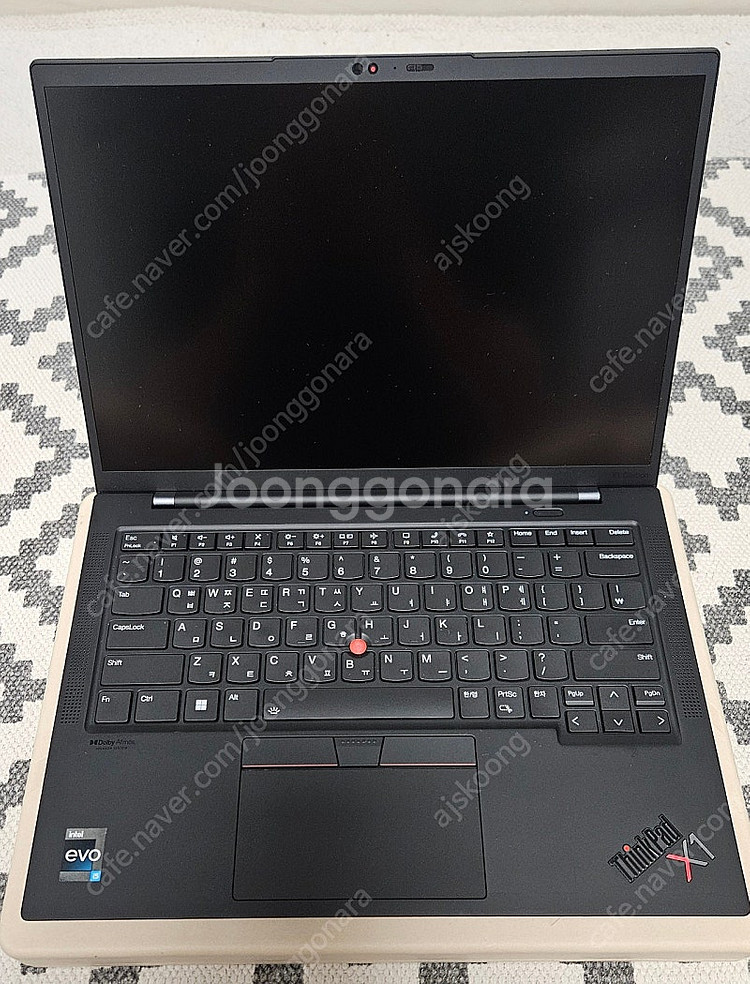 씽크패드 X1 카본 Gen10 i5 1TB--1