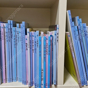 웅진 반딧불 과학 그림책