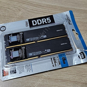 마이크론 Crucial DDR5-6000 CL48 PRO 패키지 대원씨티에스 48GB(24Gx2