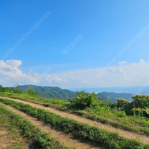 신세계백화점 상품권 50,000 원권 판매합니다