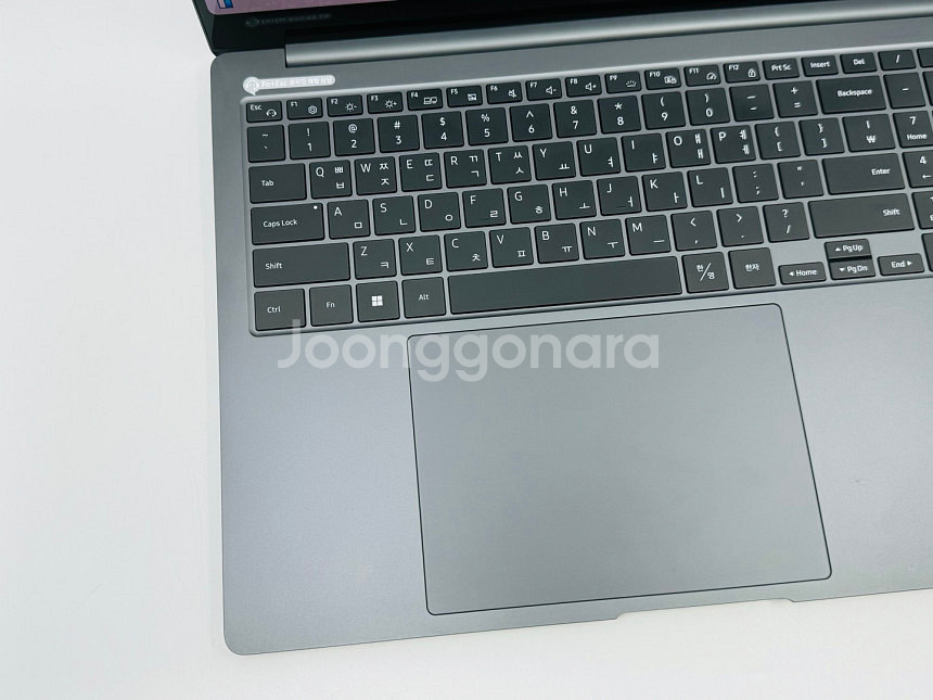 삼성 갤럭시북3 프로 NT960XFG-KP71G SSD...--2