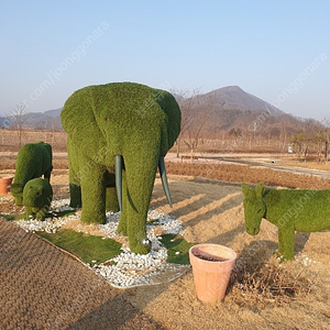 신광 코끼리 자전거 삽니다