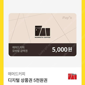 매머드 커피 5000원권