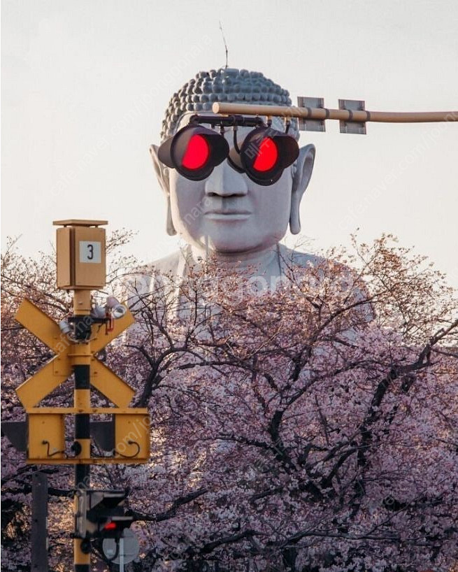갤럭시 탭 S9 플러스 256 이상 5G 모델 구합니다...--0